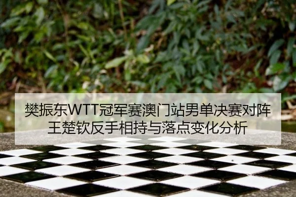 fan-zhen-dong-guan-jun-sai-ao-men-zhan-nan-dan-jue-sai-dui-zhen-wang-chu-qin-fan-shou-xiang-chi-yu-luo-dian-bian-hua-3-501.jpg